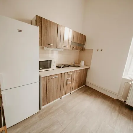 דירה Apartmanovy Dum Kolej Jinak - Dostupne Ubytovani V Usti Nejen Pro Studenty Ústí nad Labem