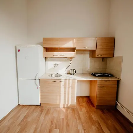 Apartmanovy Dum Kolej Jinak - Dostupne Ubytovani V Usti Nejen Pro Studenty דירה Ústí nad Labem